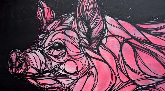 Stappenplan: verander je gazon in een bloemenweide met slim grasmaaien