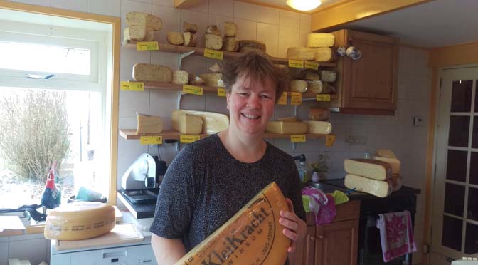 Op bezoek bij Kleikracht in Winsum: biologisch melkveebedrijf en kaasmakerij