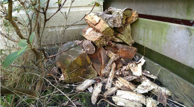 Het ultieme insectenhotel voor een gewone tuin; een stappenplan