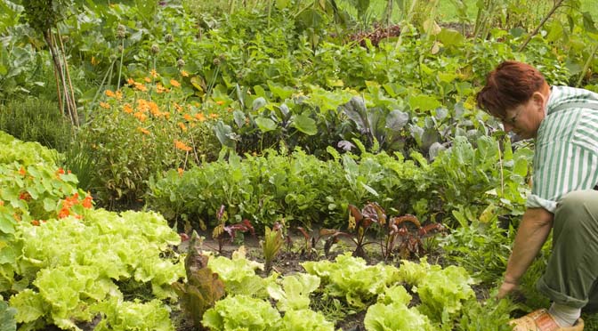 Interview Alma Huisken: “Ik ga gestaag en onveranderlijk door op mijn ingeslagen pad”