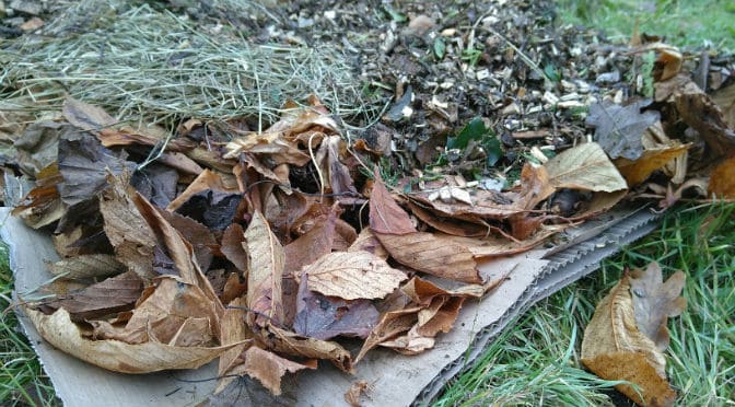 Zo geef je bomen en struiken een ideale voedingsbodem met sheetmulchen