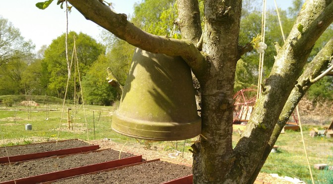 Een oorwormenpot? Dat maak je zelf met mijn stappenplan!