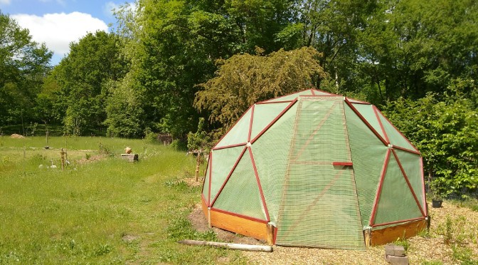 Zelf een geodome kas voor de groentetuin maken met een geodesic dome kit