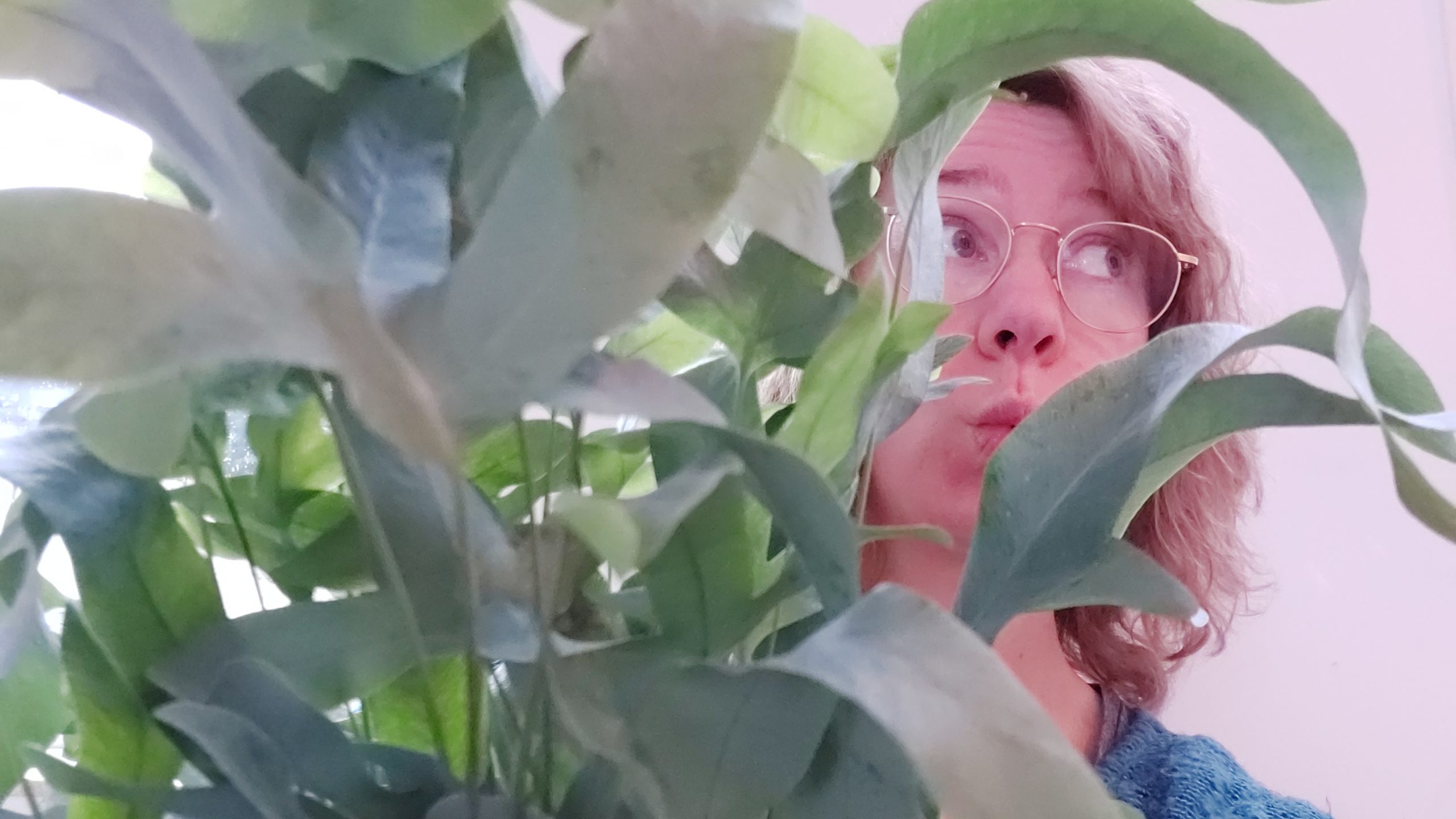 Kun je duurzaam leven zonder hypocriet te zijn? Over omgaan met kritiek op je duurzame gedrag