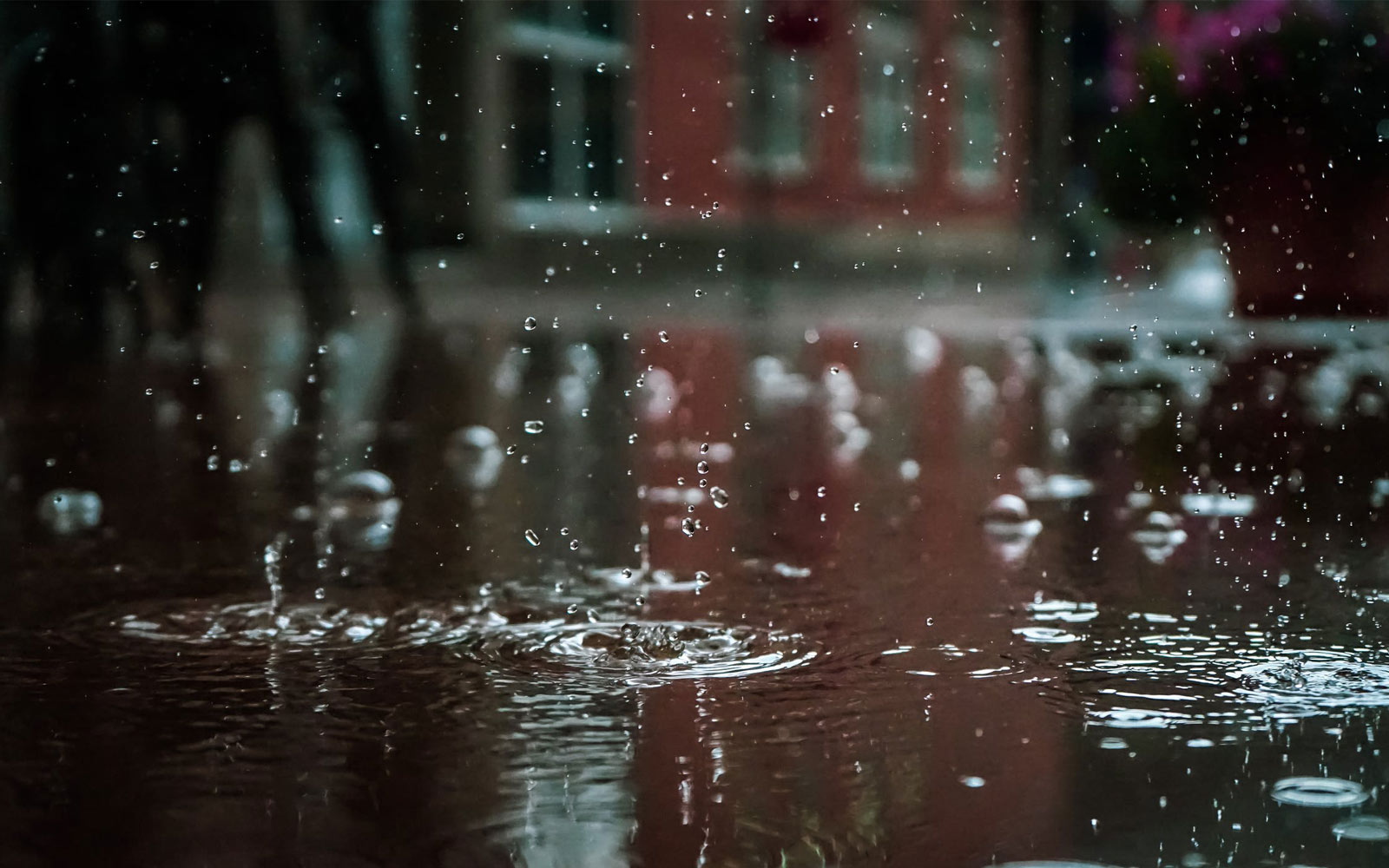 Regenton met plantenbak kopen: 7 leuke regentonnen