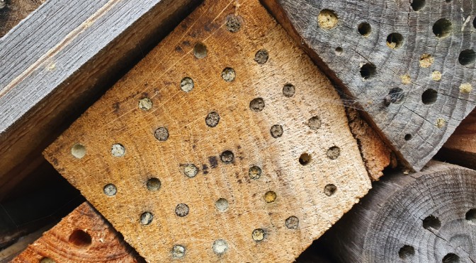 Veelgestelde vragen en antwoorden over bijenhotels