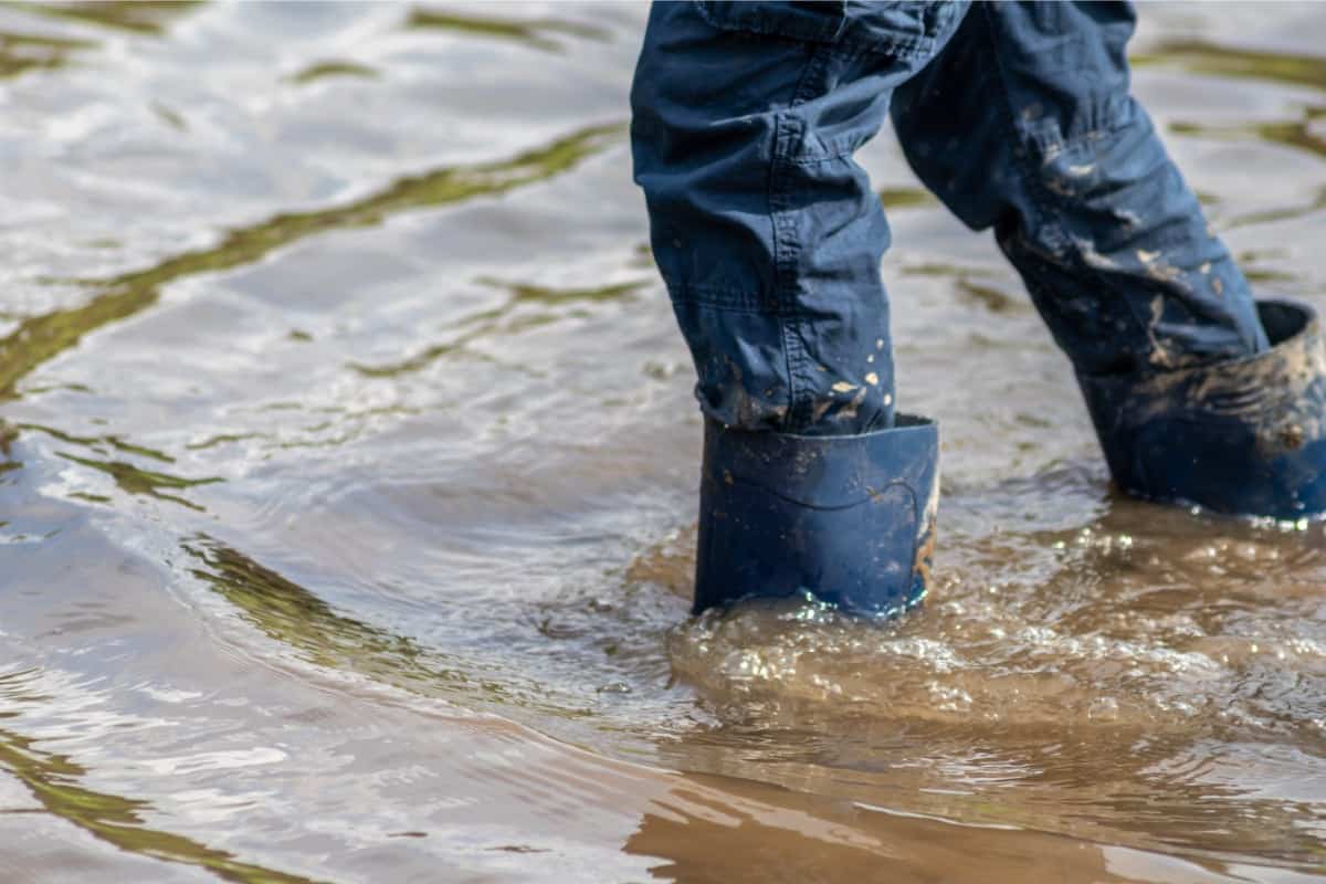Klimaatverandering komt dichterbij dan je denkt (maar de oplossingen gelukkig ook)