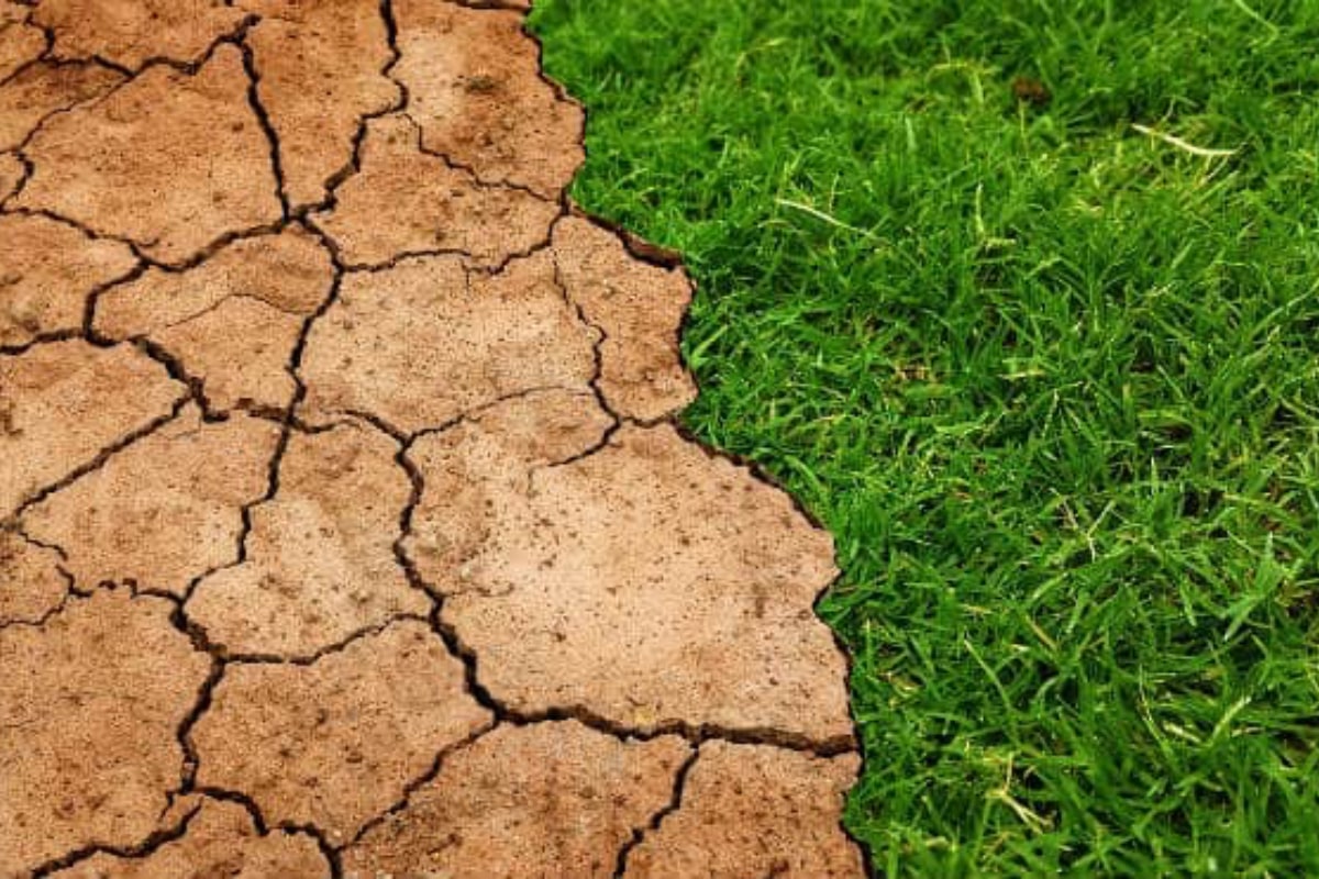 Maak je tuin klaar voor de gevolgen van klimaatverandering